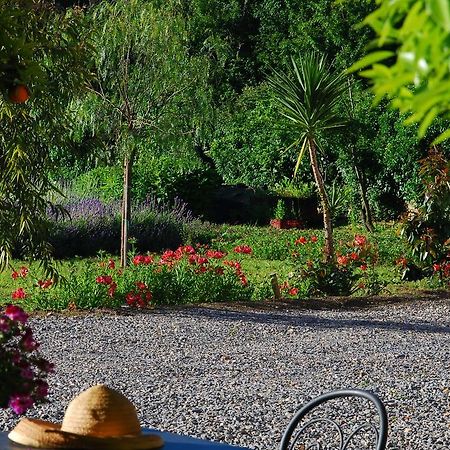 Agriturismo Coppi Rossi Torrazza  Bagian luar foto