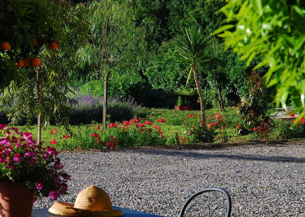 Agriturismo Coppi Rossi Torrazza  Bagian luar foto