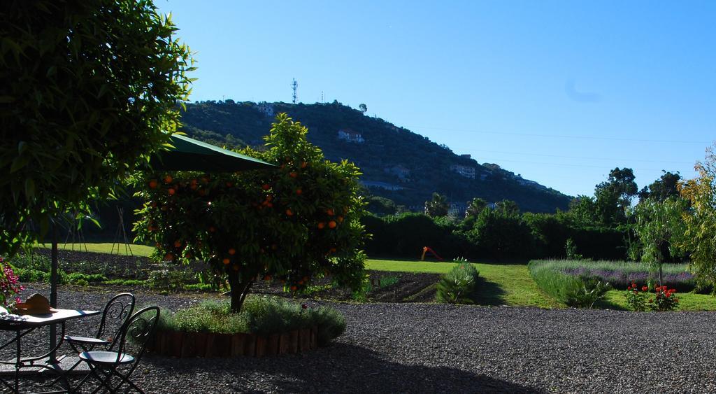 Agriturismo Coppi Rossi Villa Torrazza  Bagian luar foto